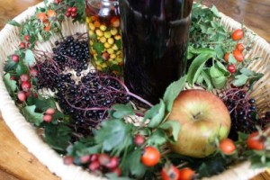 Basket of autumn abundance